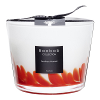 Baobab Collection Bougie 'Feathers Masaai Max 10' - 1.3 Kg
