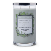 Colonial Candle Bougie parfumée 'Eucalyptus Mint' - 538 g