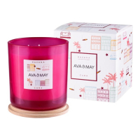AVA & MAY 'Havana Maxi' Scented Candle - 500 g