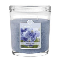 Colonial Candle Bougie parfumée 'Morning Dew' - 226 g