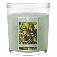 Colonial Candle 'Bay Berry' Duftende Kerze - 623 g