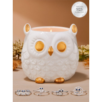 Charmed Aroma Women's 'Eule' Candle Set - 340 g