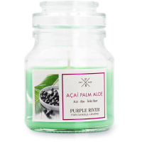 Purple River Bougie parfumée 'Açaí Palm Aloe' - 113 g