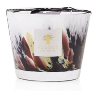 Baobab Collection 'Rainforest Tanjung' Candle - 1.3 Kg