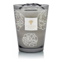 Baobab Collection 'Collectible Roses Grey' Candle - 5.2 Kg