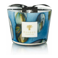 Baobab Collection 'Oceania Tingari Max 10' Scented Candle - 