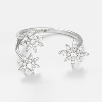 Diamanta Women's 'Bouquet Glacé' Ring
