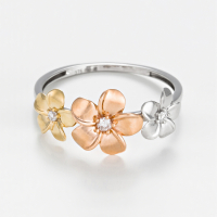 Diamanta Women's 'Ikebana' Ring