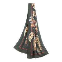 Etro Women's Scarf