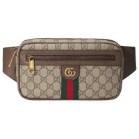 Gucci Sac ceinture 'Ophidia Small' pour Hommes