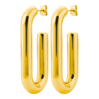 Izée Boucles d'oreilles