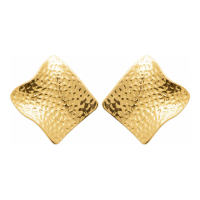 Izée Boucles d'oreilles