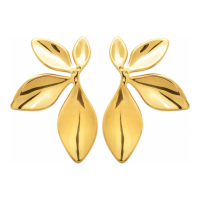 Izée Boucles d'oreilles