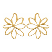 Izée Boucles d'oreilles