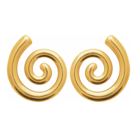 Izée Boucles d'oreilles