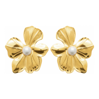 Izée Boucles d'oreilles