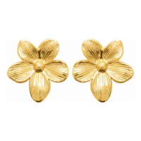 Izée Boucles d'oreilles