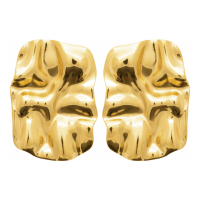 Izée Boucles d'oreilles