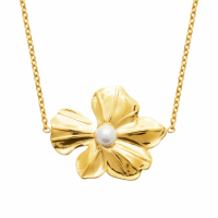 Izée Collier