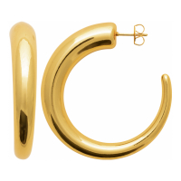 Izée Earrings