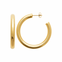 Izée Earrings