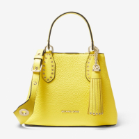 Michael Kors Sac 'Brooklyn Small' pour Femmes