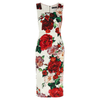 Dolce&Gabbana Robe sans manches 'Floral Printed' pour Femmes