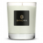 'Pearl' Large Candle - Green Ember & Leather 220 g