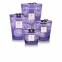 'Collectible Roses Dark Parma' Candle - 5.2 Kg