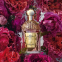 'Aqua Allegoria Forte Rosa Rossa' Eau de parfum - 75 ml