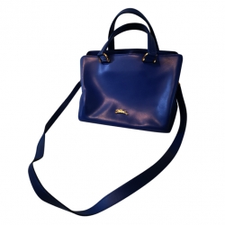 Longchamp Bag