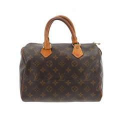 Louis Vuitton Speedy 25 Bag Monogram