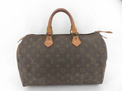 Louis Vuitton Speedy 35