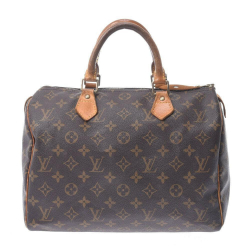 Louis Vuitton Speedy 35