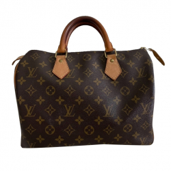 Louis Vuitton Speedy 30 Monogram