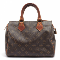 Louis Vuitton Speedy 25