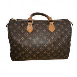 Louis Vuitton Speedy