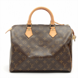 Louis Vuitton Speedy 30 Monogram