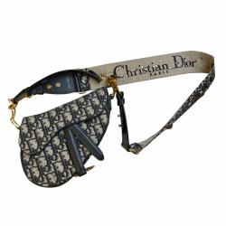 Christian Dior Saddle Mi Canv