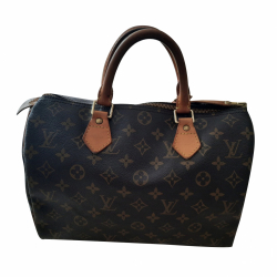 Louis Vuitton Speedy 30 Monogram