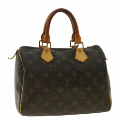 Louis Vuitton Speedy