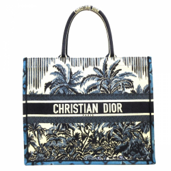 Christian Dior Dior Book Tote