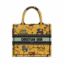 Christian Dior Book Tote Small Embroidery Canvas Tote Bag Yellow