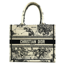 Christian Dior Dior Book Tote
