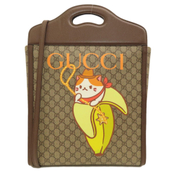 Gucci GG canvas