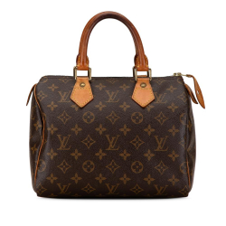 Louis Vuitton B Louis Vuitton Brown Monogram Canvas Canvas Monogram Speedy 25 France