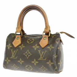 Louis Vuitton Mini speedy