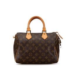 Louis Vuitton B Louis Vuitton Brown Monogram Canvas Canvas Monogram Speedy 25 France