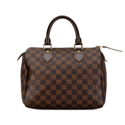 Louis Vuitton AB Louis Vuitton Brown Damier Canvas Canvas Damier Ebene Speedy 25 France