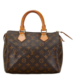 Louis Vuitton Speedy 25